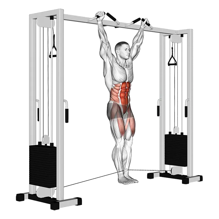 Cable Hanging Leg Raise exercise animation (Male)