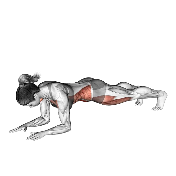 Front Plank to Push up exercise animation (Female)