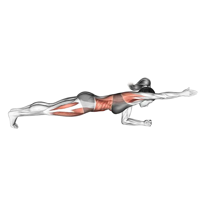Front Plank with Arm Lift exercise animation (Female)