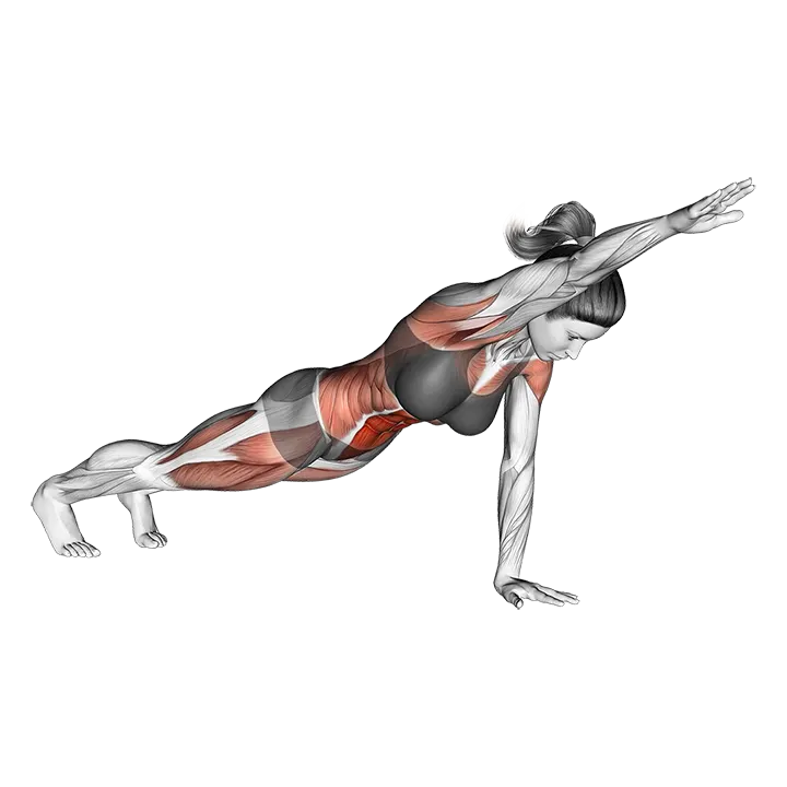 Front Plank with Arm Lift (push-up position) exercise animation (Female)