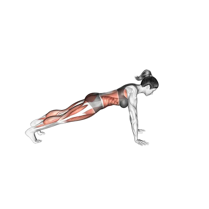 Front Plank with Arm and Leg Lift (push-up position) exercise animation (Female)