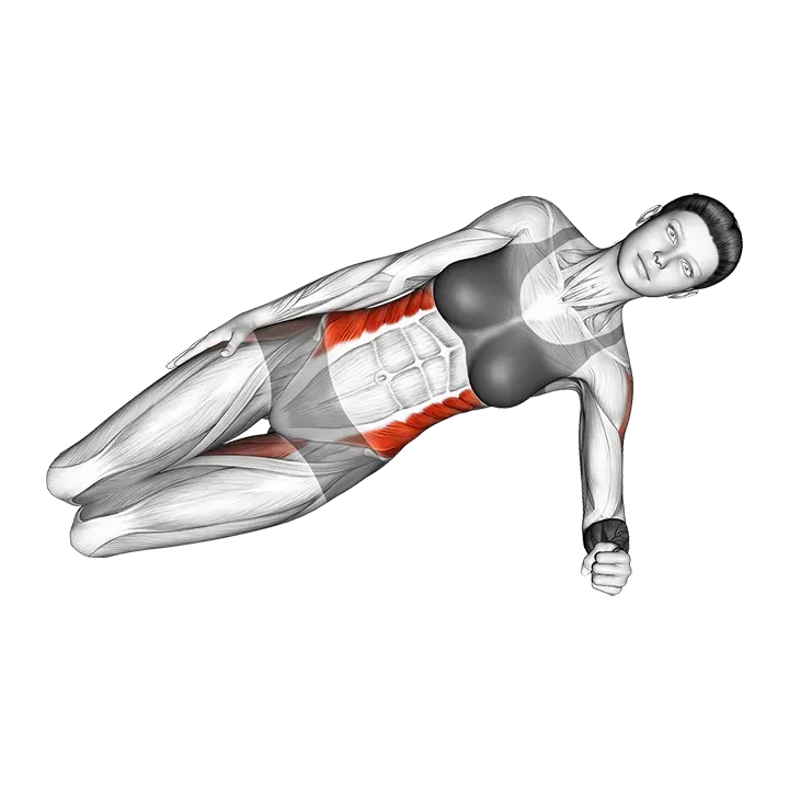 Side Plank (beginner) exercise animation (Female)