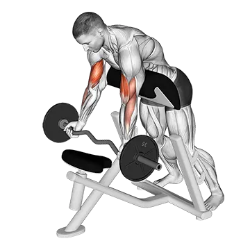 EZ-Barbell Standing Preacher Curl