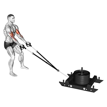 Power Sled Biceps Curl