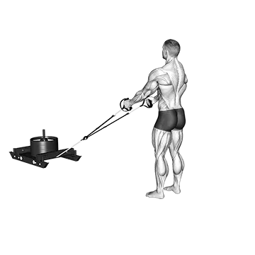 Power Sled Rear Lunge Row