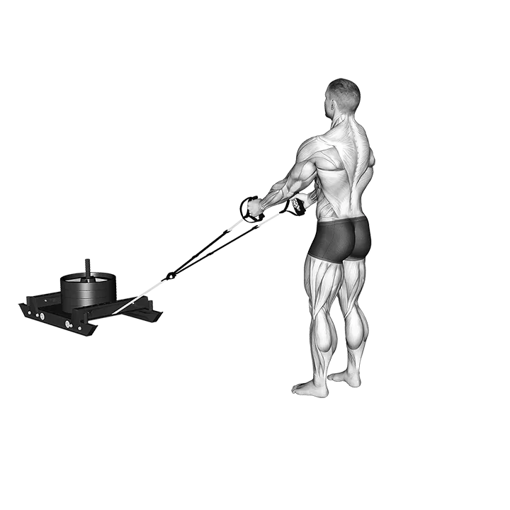 Power Sled Rear Lunge Row exercise animation (Male)