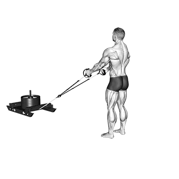 Power Sled Rear Lunge