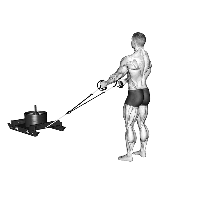 Power Sled Rear Lunge exercise animation (Male)