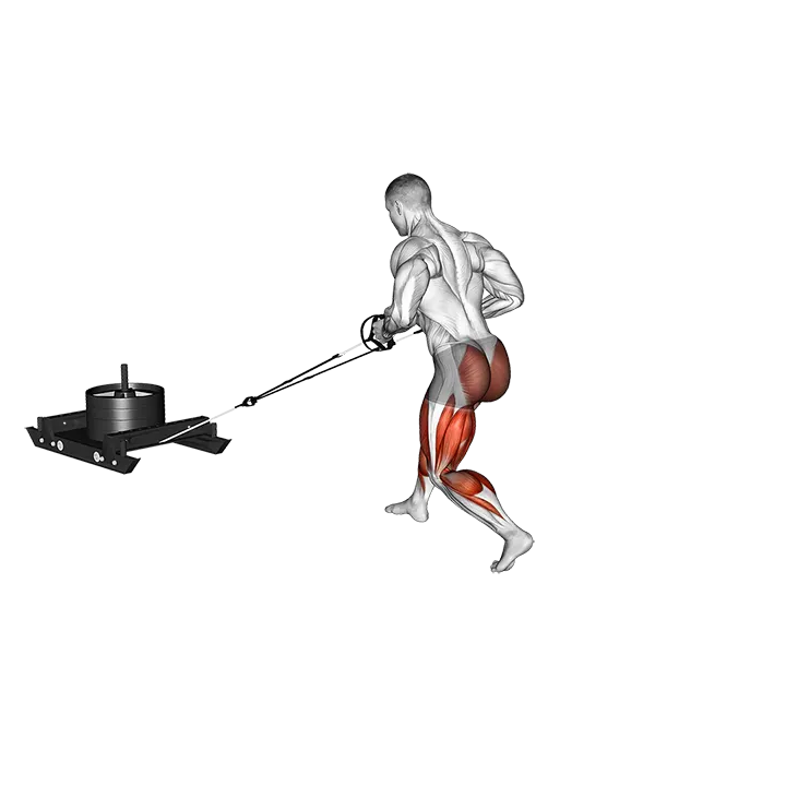 Power Sled Rear Batwing exercise animation (Hombre)