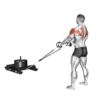 Power Sled Rear Fly