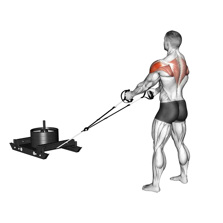 Power Sled Rear Fly exercise animation (Male)