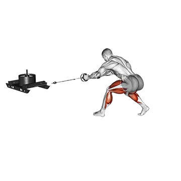 Power Sled Rear Drag