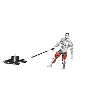 Power Sled Anti-Rotation Forward Walk