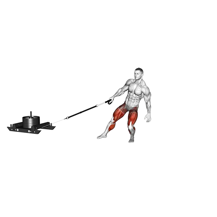 Power Sled Anti-Rotation Forward Walk exercise animation (Male)