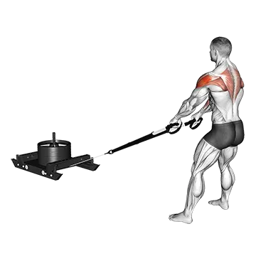 Power Sled High Pull