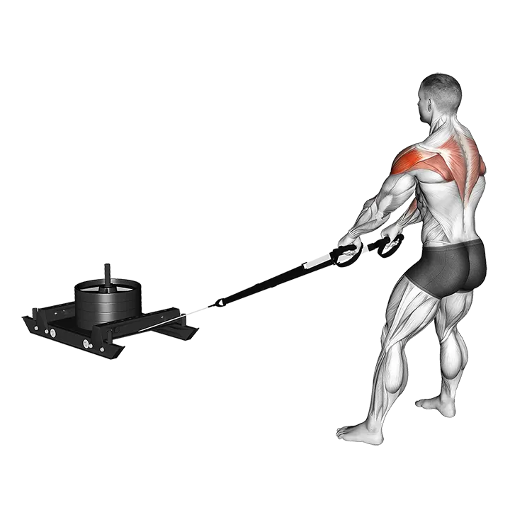 Power Sled High Pull exercise animation (Male)