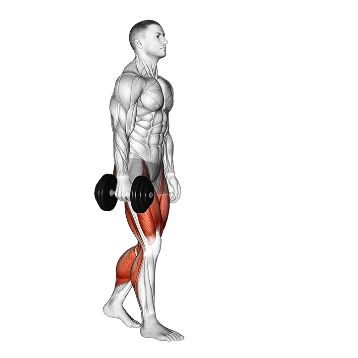 Dumbbell Suitcase Carry exercise animation (Male)