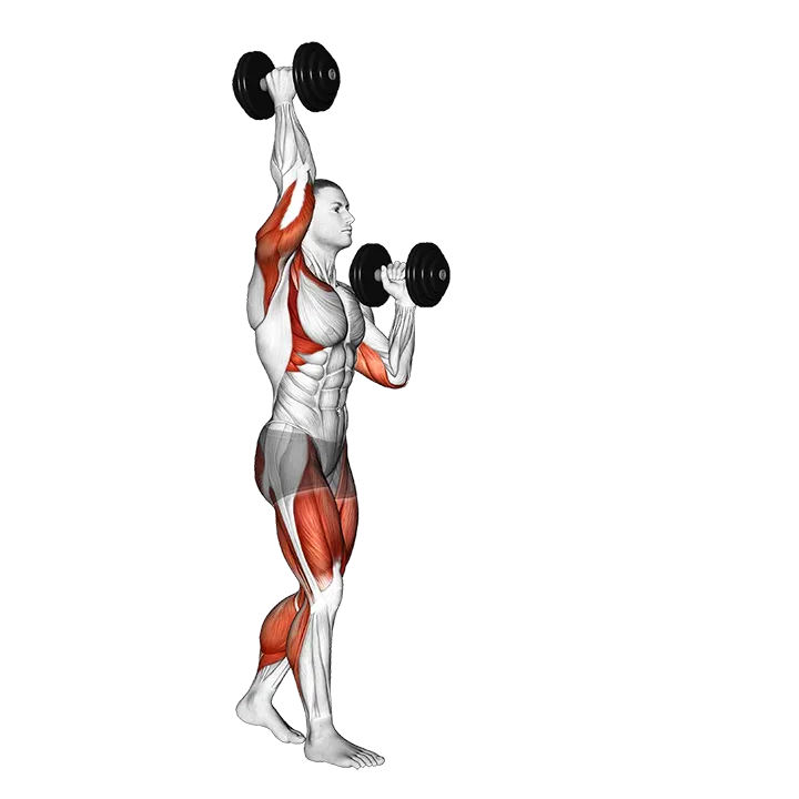 Dumbbell High Low Carry exercise animation (Male)