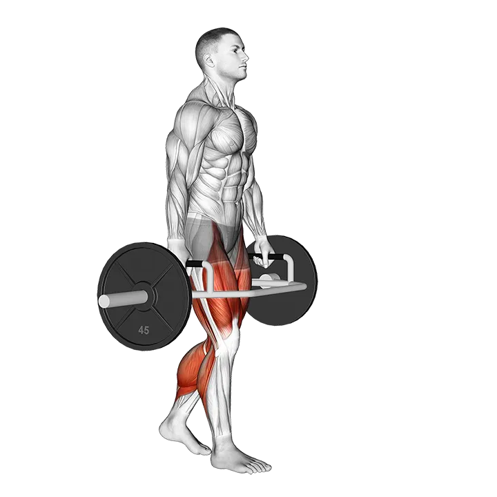 Trap Bar Farmers Carry exercise animation (Hombre)