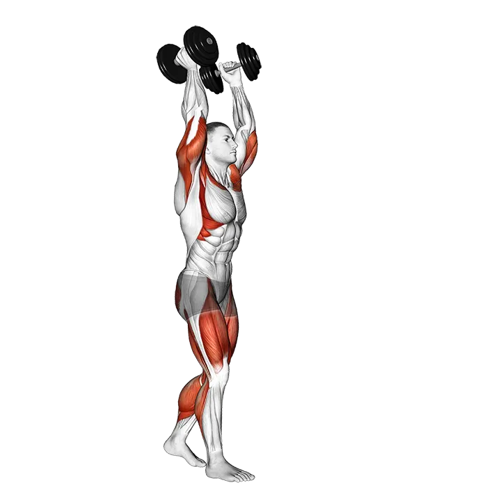 Dumbbell Overhead Carry exercise animation (Male)