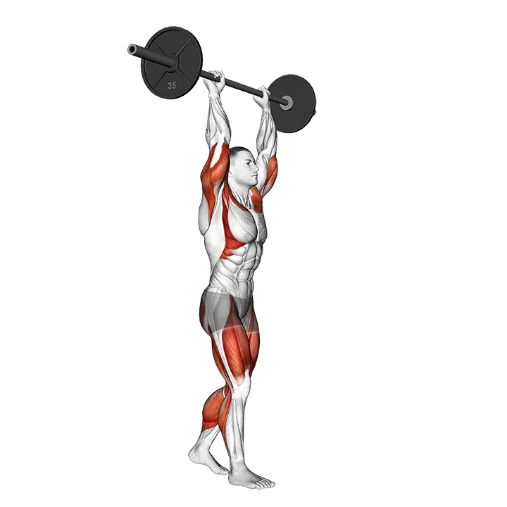 Barbell Overhead Carry exercise animation (Male)