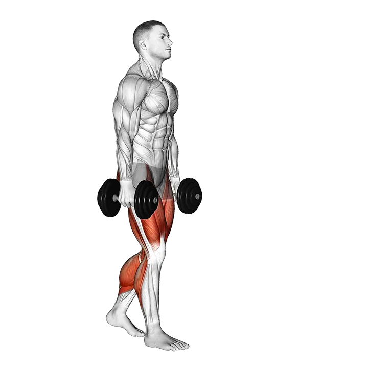 Dumbbell Farmers Carry exercise animation (Male)