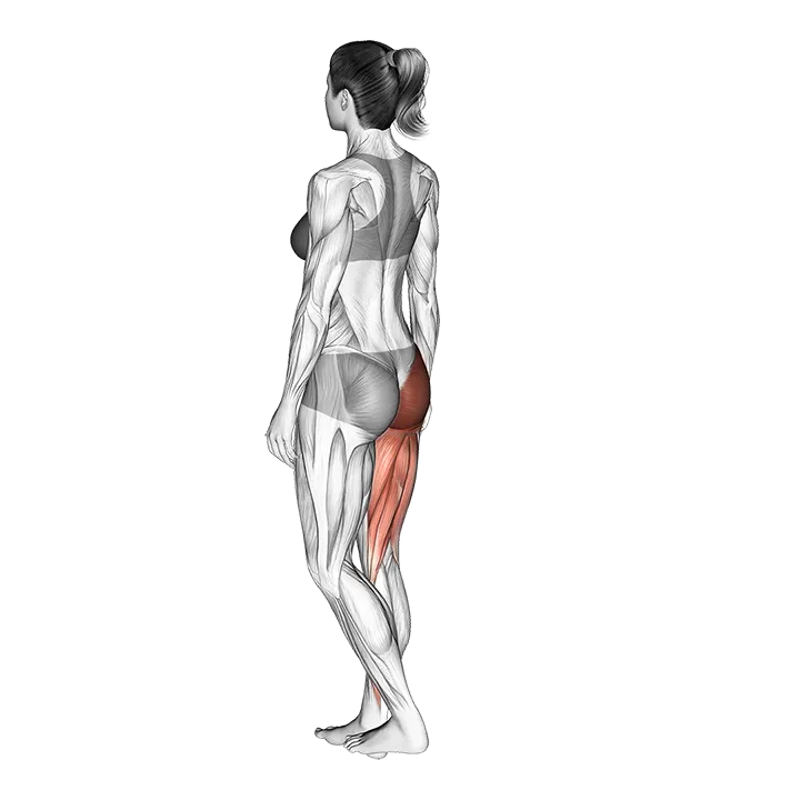 Single Leg Bodyweight Deadlift with Arm and Leg Extended exercise animation (Female)