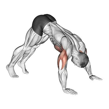 Pike Push up