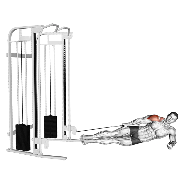 Cable Side Lying Lateral Raise exercise animation (Male)