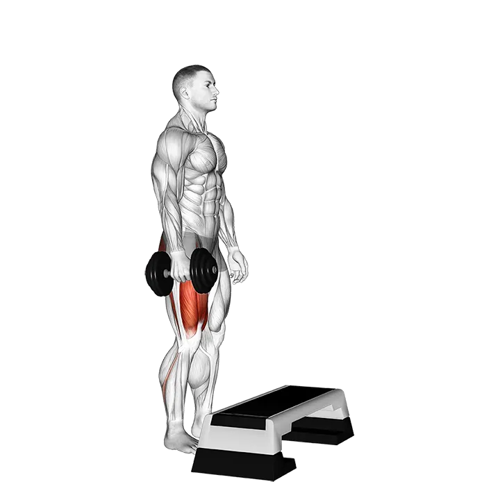 Dumbbell Single Leg Step Up exercise animation (Male)