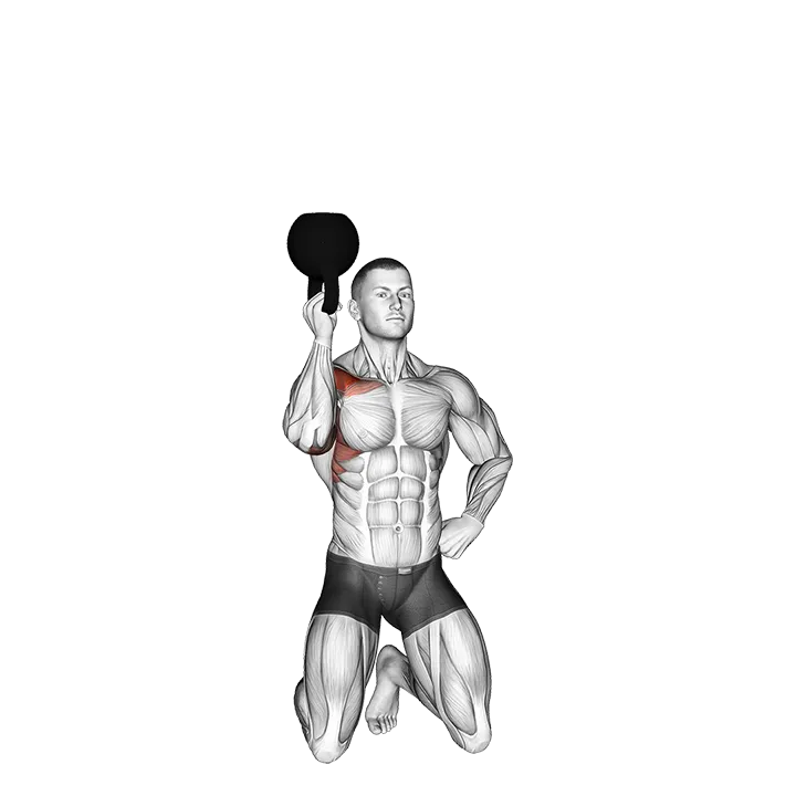 Kettlebell Kneeling One Arm Bottoms Up Press exercise animation (Male)