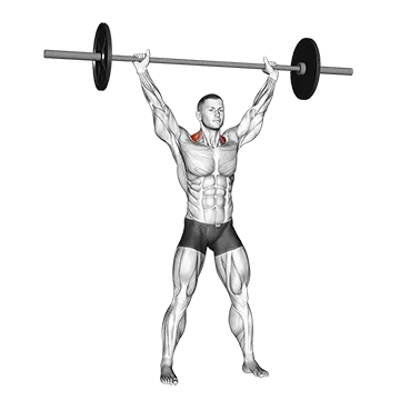 Barbell Overhead Shrug