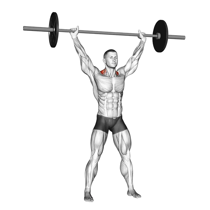 Barbell Overhead Shrug exercise animation (Male)