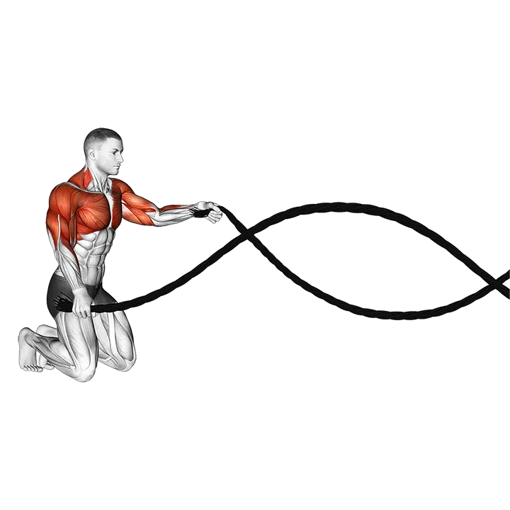Kneeling Battling Ropes exercise animation (Male)
