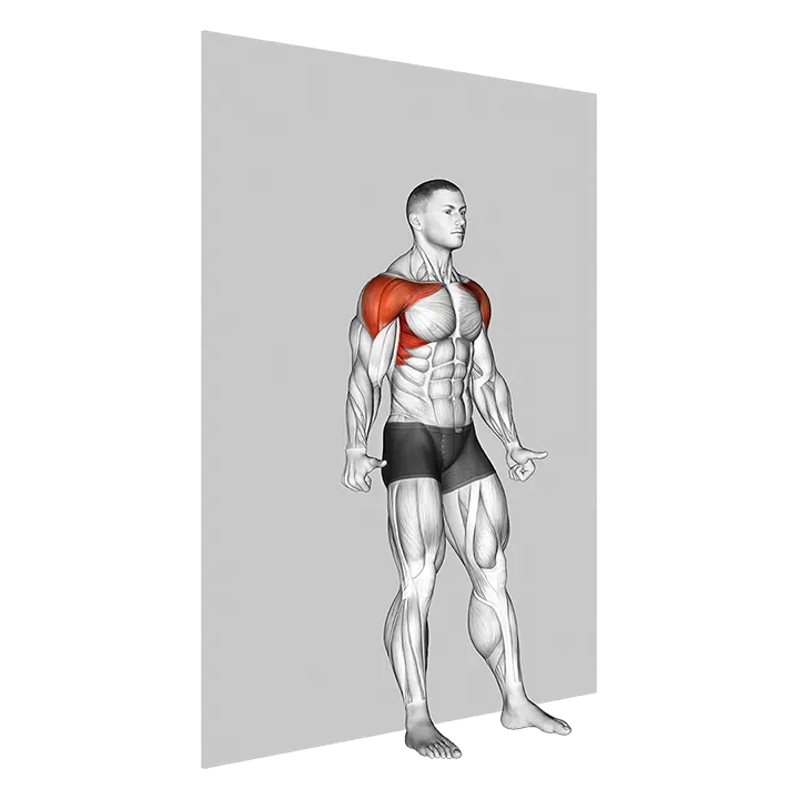 Shoulder Flexion Back to Wall exercise animation (Male)