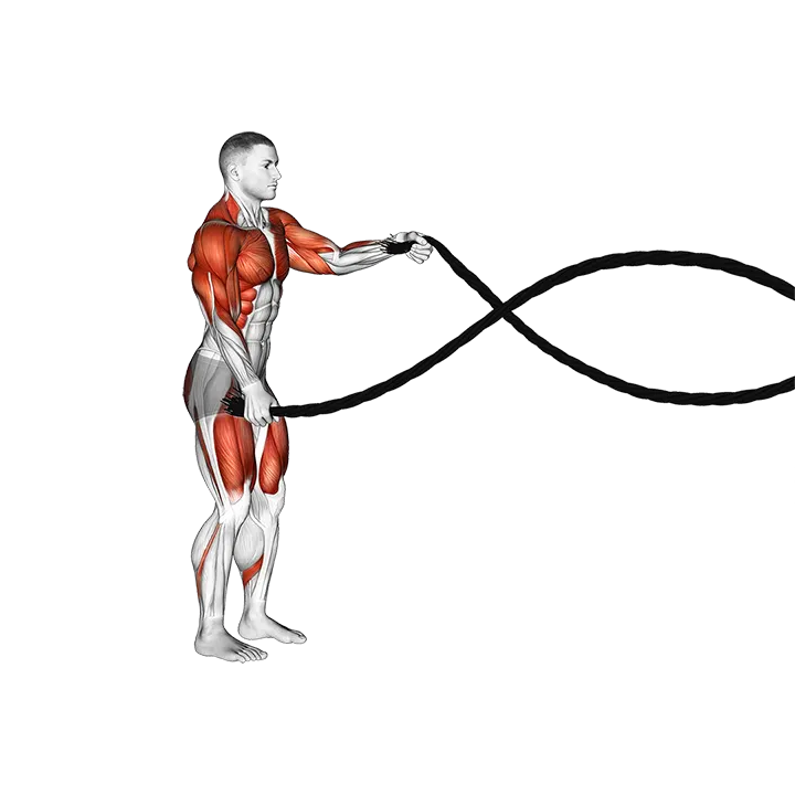 Rear Lunge with Battling Ropes exercise animation (Male)