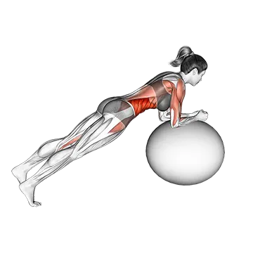 Stability Ball Rounded Rollout