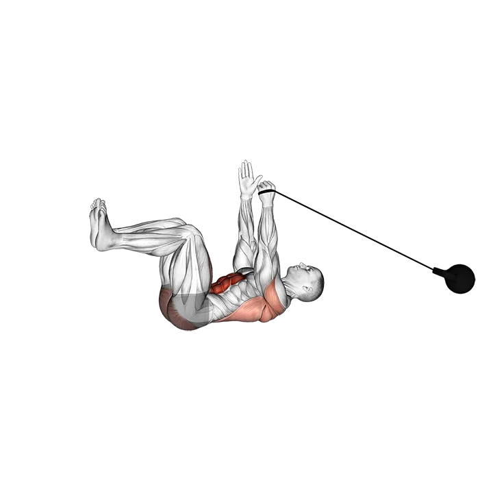 Band Upper Body Resistance Dead Bug exercise animation (Male)