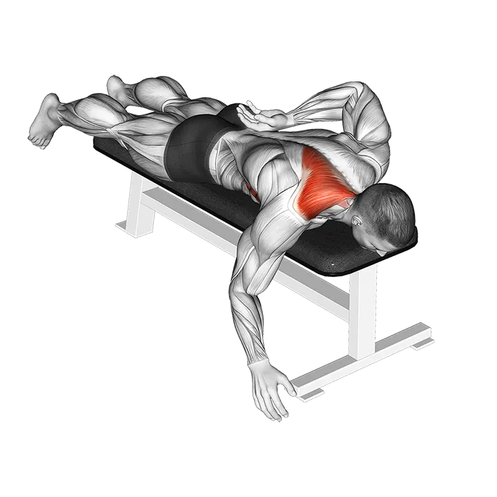 Prone Single Arm Trap Raise exercise animation (Male)