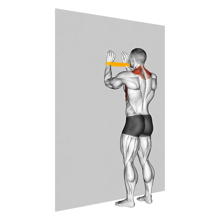 Resistance Band Spider Crawls exercise animation (Male)