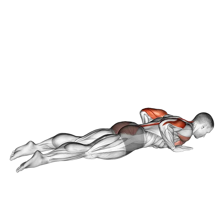 Seal Push up exercise animation (Male)