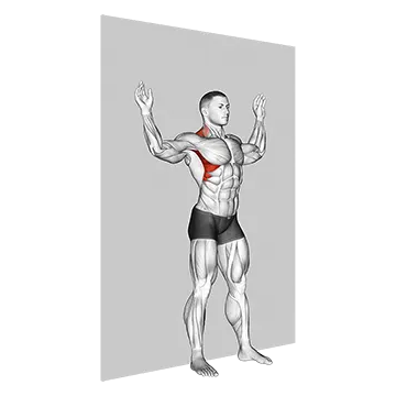 Scapular Slide Back to Wall