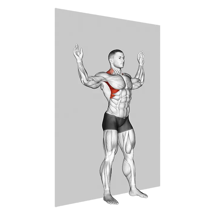 Scapular Slide Back to Wall exercise animation (Male)