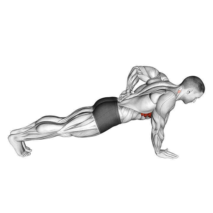 Single Arm Scapula Push up exercise animation (Male)