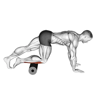 Roll Anterior Calf Foam Rolling