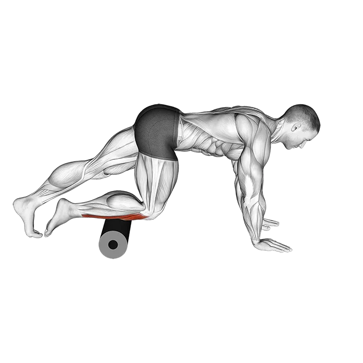 Roll Anterior Calf Foam Rolling exercise animation (Hombre)