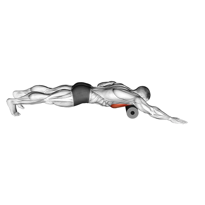 Roll Pec Foam Rolling exercise animation (Male)