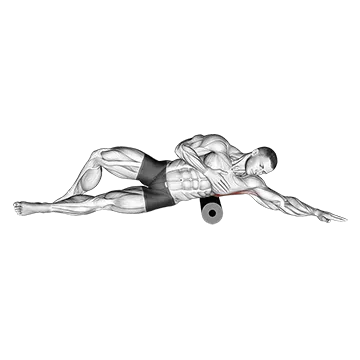 Roll Lat Foam Rolling