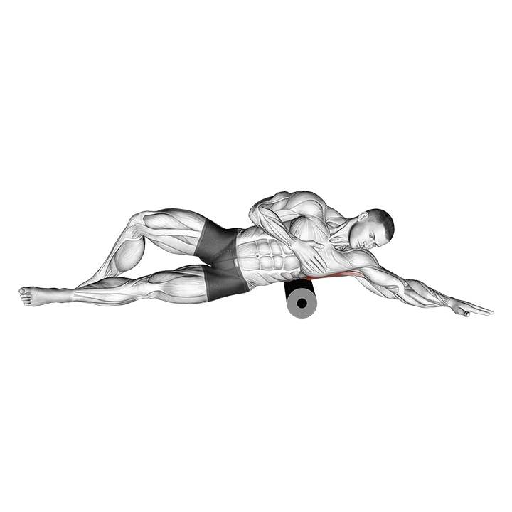 Roll Lat Foam Rolling exercise animation (Male)
