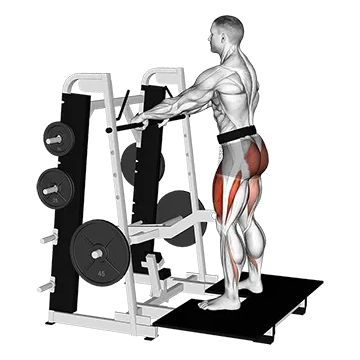 Lever Belt Squat